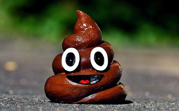 Why Start a Pooper Scooper Business